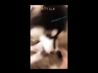 Anal Lovers