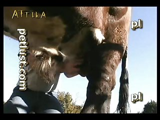 Live Videos