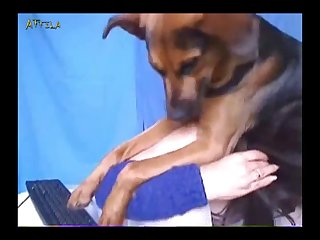 Videos Of The Video