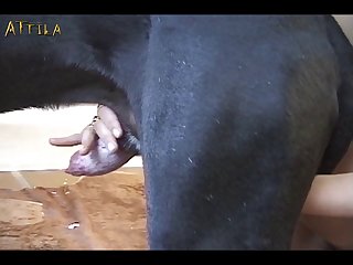 Ponp Video