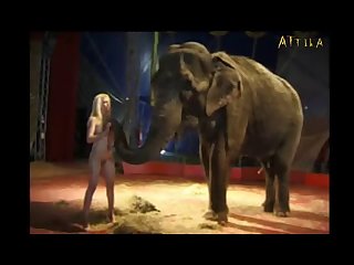 Milly Amorim 2795 3115 Elephant Part 13