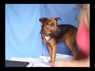 Amateur Webcam Lady And Dog 1 Part 3