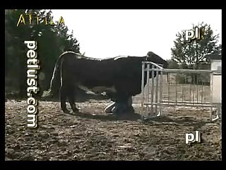Petlust M11 2 Zoo Bull Sex Farm Boys Part 10