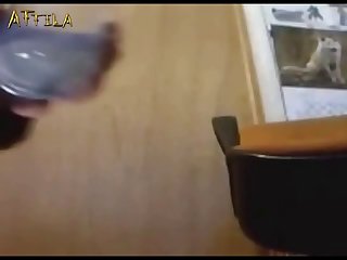 1769 Dog Fucks Teen On Webcam Part 1