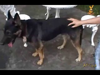 F599feb15ff01802d54544e99233e01d Part 2