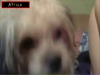 1831 Teen On Webcam Dog Like Pussy Part 5