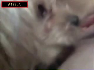 1831 Teen On Webcam Dog Like Pussy Part 5