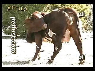 Petlust M11 2 Zoo Bull Sex Farm Boys Part 7