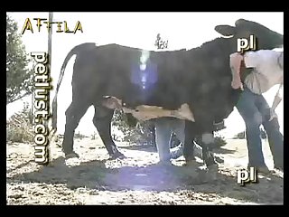 Petlust M11 2 Zoo Bull Sex Farm Boys Part 7