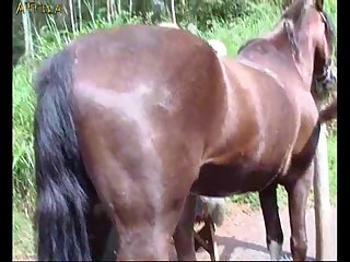Girl Loves Horse Cum Part 2