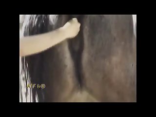 Zoo Delight Horse Goes Anal Bestialitylovers.com Part 5