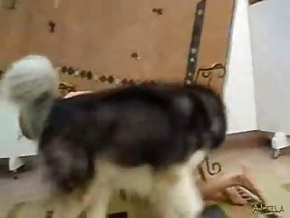 47b62aa4ec901 Girl Husky Humping Part 2