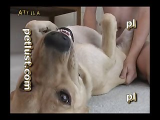 Petlust Guys And Bitches 3 Part 7