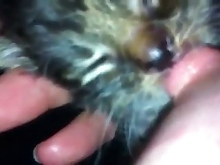 شع ت بلعاب الذئب يختلط بعصائ ها التي تسيل على ساقها. كانت مهبلها مشتعلًا