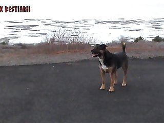 Stomping Around The Vast Fields