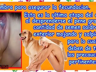 X Xnx