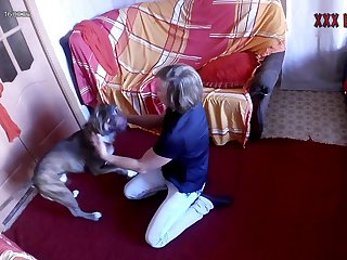 Dog Male Tube