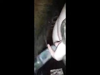She Would Let Her Knot Him And Would Squeeze Every Last Drop Of Cum Out Of Those Doggy Balls