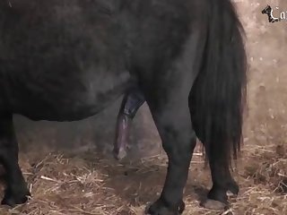 With Her Amazing Breasts Exposed