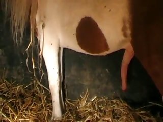 She Gathered It Up And Sucked And Kissed On It More