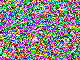 . Dog Curled Up And Rested At My Feet