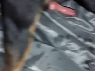 Fleshlight Dog Fuck 2