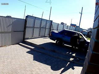 Gay Bestiality Porn Stories