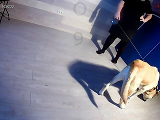 Gay Bestiality Porn Stories