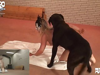 Ankha Animal Crossing Porn Vid