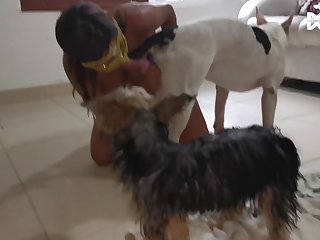Animal Queendom Porn