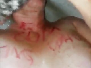 Free Animal Porn Xvideos