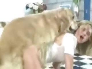 Game Porn Animal