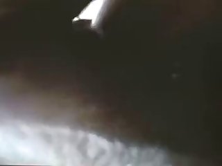 Animal Porn Downloader