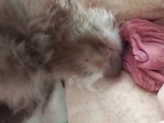 Black And Latino Porn....meet The Mexican Animal Sergio Fucks Goddess