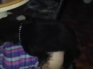 Real Animal Porn Video