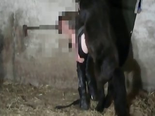 Animal Crossing Egyptian Girl Porn