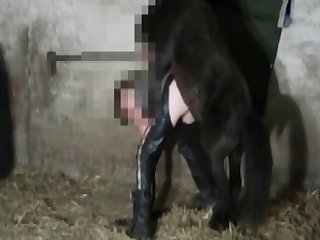 Animal Crossing Egyptian Girl Porn