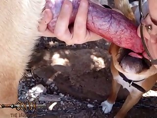 Zoofilia Chicas Y Perros