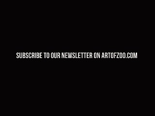 Videos Zoofilia Gratis