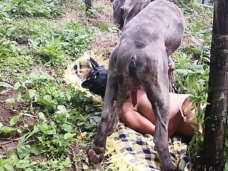 Zoofilia Mulher Sentando No Cachorro