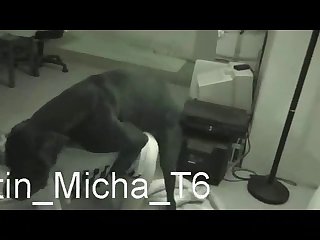 Videos Novos Zoofilia