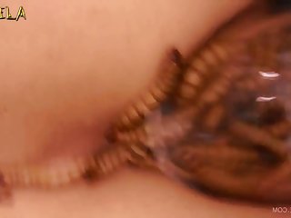 Chicas Hermosas Zoofilia