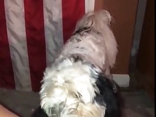 Man Fuck Male Dog