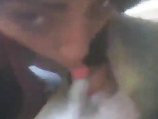Big Dick Dog Fuck