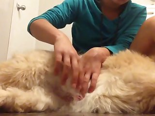 Dog And Husband Fuck Wife