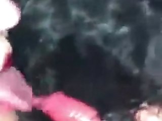 Dog Fuck Female