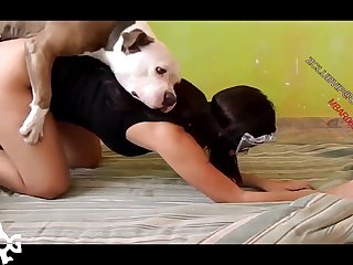 She Fuck The Dog