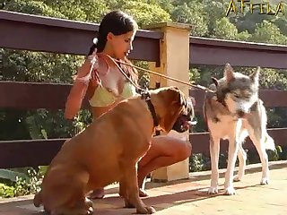 Horny Dog Fuck