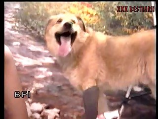 Man Fuck Dog Gif