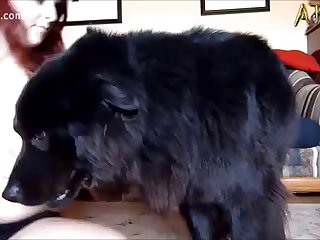 Dog Fuck Girl Compilation